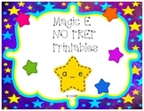 Magic E (a_e) No Prep Printables