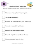 Magic School Bus "Goes to Seed" activity - Plant Cycle