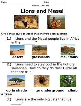 Preview of Magic Tree House #11 - Lions At Lunchtime - Unit Assessment