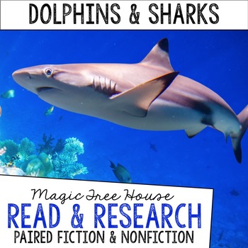 Preview of Magic Tree House #9 Bundle: Dolphins at Daybreak & Dolphins + Sharks