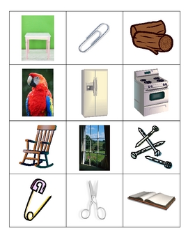 Preview of Magnetic Objects Picture Sort