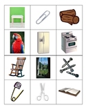 Magnetic Objects Picture Sort