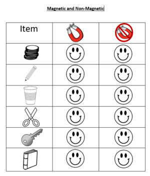 Preview of Magnetic and Non-Magnetic checklist.