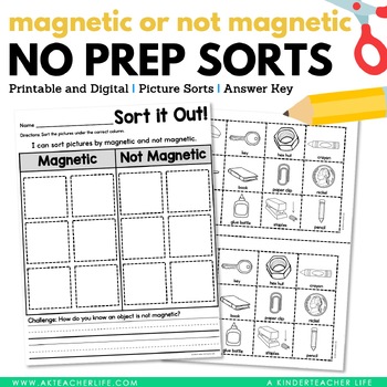 Preview of Magnetic and Not Magnetic Sort