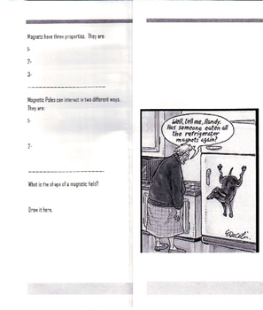 Preview of Magnetism Tri-fold Brochure Test Preparation Middle School