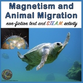 Magnetism and Animal Migration Nonfiction Text and STEM Activity