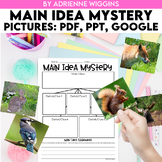 Main Idea Mystery Bags (Google Classroom, PDF, PPT) - Dist