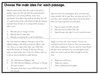 Main Idea Quiz by Kmwhyte's Kreations | Teachers Pay Teachers