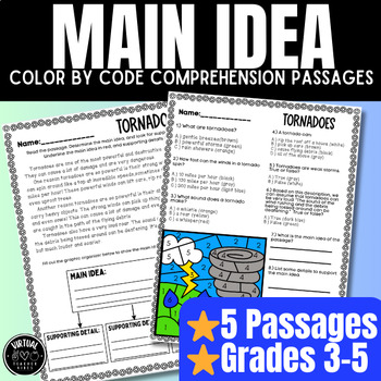 Preview of Main Idea: Reading Passages with Comprehension Questions, Graphic Organizer