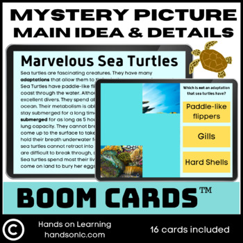 Preview of Main Idea and Details Turtles Mystery Picture Boom Cards