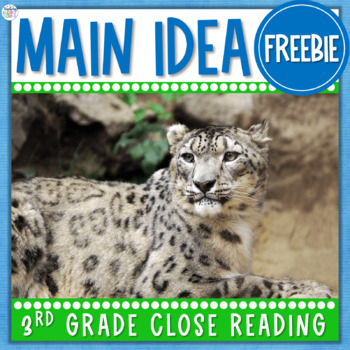 Preview of Main Idea Activities 3rd Grade Close Reading Passages & Questions FREEBIE