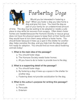 Main Idea and Supporting Detail- Dogs by Lillie's Lessons | TpT