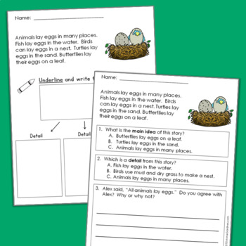 Main Idea & Supporting Details Worksheets {Ideal for Distance Learning