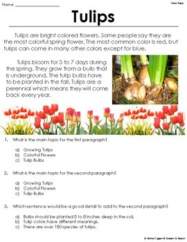 Main Topic Spring Themed Reading Passages by Dream to Teach | TpT