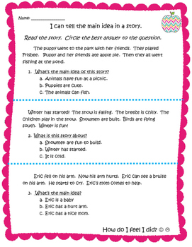 Preview of Main idea- Assessment - Common Core - Big Picture