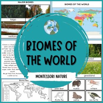Preview of Major World Biomes Animals 3 Part Cards Research Forms Montessori