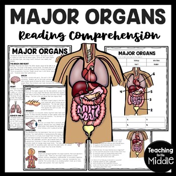 Preview of Major Body Organs Overview Reading Comprehension and Diagram Worksheet