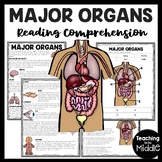 Major Body Organs Overview Reading Comprehension and Diagr