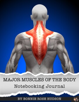 Preview of Major Muscles of the Body Notebooking Journal (with Easel Activity)