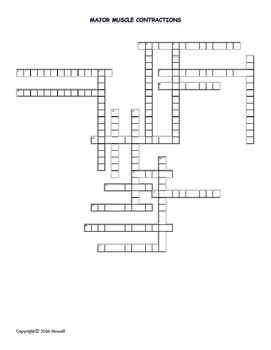 Major Muscle Contractions Crossword by Everything Science and Beyond