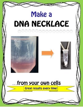 Preview of DNA EXTRACTION- MAKE THE COOLEST NECKLACE from your own CHEEK CELLS!