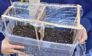 Preview of Make Desktop Greenhouses!  (planting, research, writing, experiment)