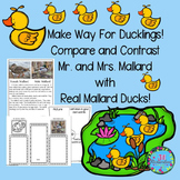 Make Way For Ducklings Book Companion ESL Spring