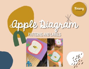 Preview of Make Your Own: Apple Diagram