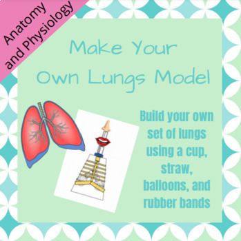 Preview of Make Your Own Lungs Model: Respiratory System Lab