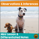 Making Inferences and Observations Mini Lesson Differentia