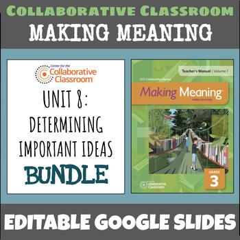 Preview of Making Meaning 3rd Grade Unit 8: Determining Important Ideas BUNDLE