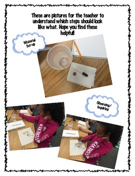 Making Observations, Investigating, and Inquiring Penny Experiment