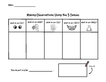 Preview of Making Observations Using the 5 Senses Recording Sheet