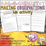 Making Observations in Science Activity