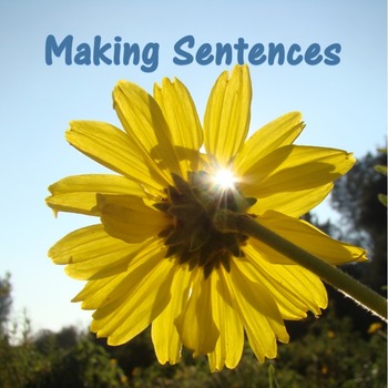 Preview of Making Sentences