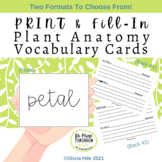 Making Vocabulary Cards for Plant Anatomy