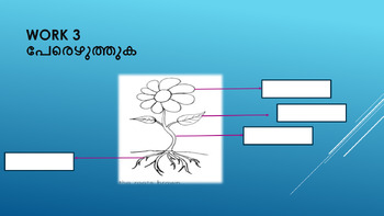 Preview of Malalaym worksheet