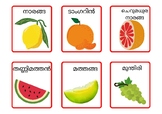 Malayalam Fruit names flash card