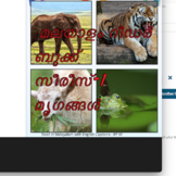 Malayalam Reader Book Series-1 Animals