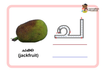 Malayalam Alphabet Flashcards Malayalam Consonants Learn -  Denmark