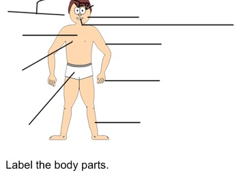 Male Body Parts Health And Learning Interactive Activity Tpt