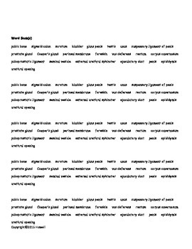 Male Reproductive System Identification Quiz by Everything Science and