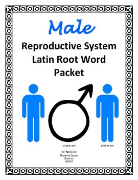 Preview of Male Reproductive System Latin Root Word Packet