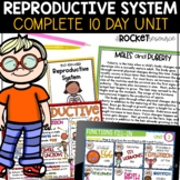 Male and Female Reproduction | Reproductive System | Human