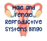 Male and Female Reproductive Systems Bingo