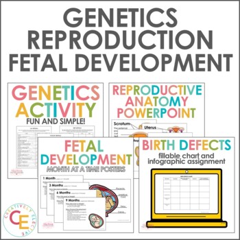 Preview of Male and Female Reproductive Systems | Genetics | Fetal Development and MORE!