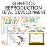 Male and Female Reproductive Systems | Genetics | Fetal De