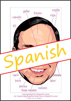 Preview of Male face- Rostro masculino: partes del rostro SPANISH (ELE)