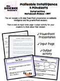 Malleable Intelligence and Mindsets Notebook Activity