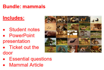 Preview of Mammal Bundle